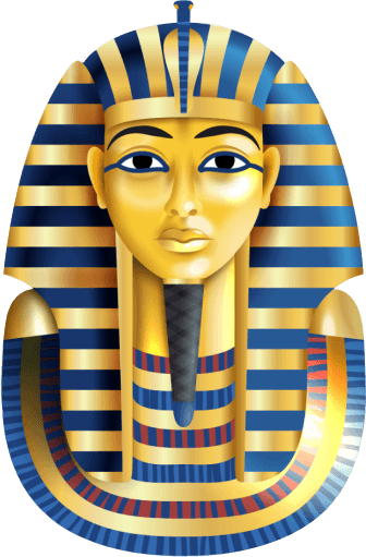 Shardeum Alphanet is Live